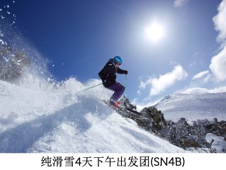 纯滑雪4天下午出发团 (SN4B)